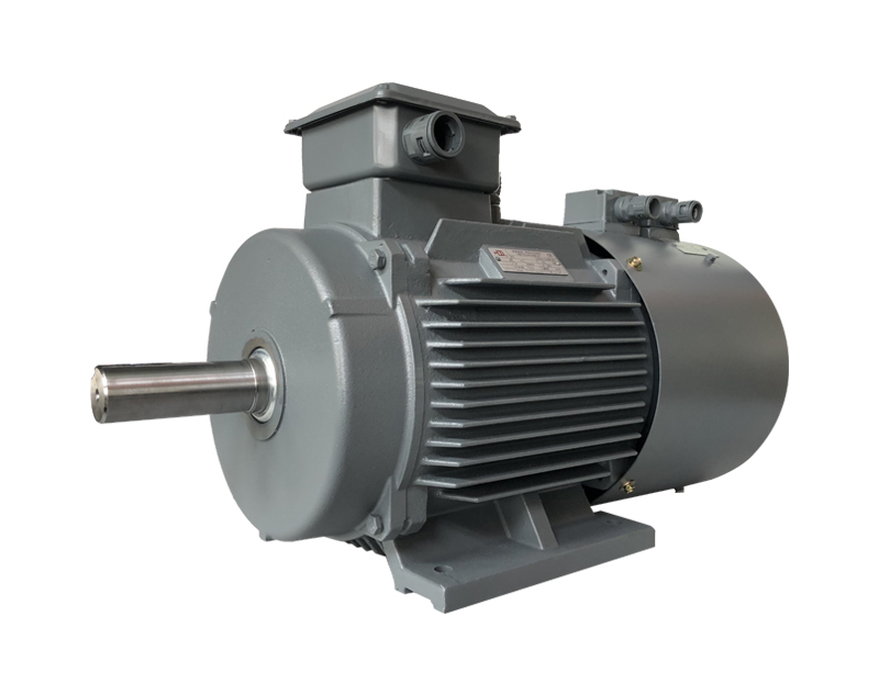 YE2VP series variable frequency adjustable speed three-phase asynchronous motor