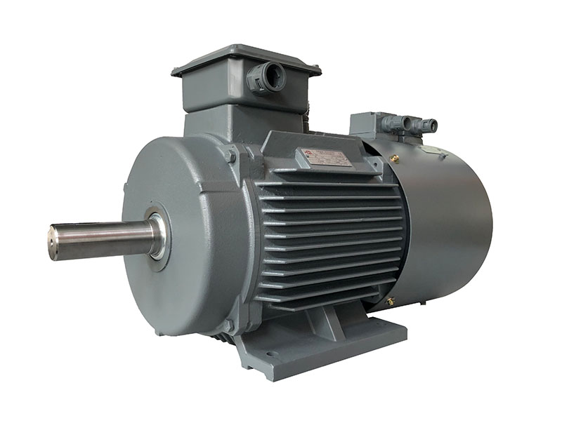 YE3VP系列变频调速三相异步电动机